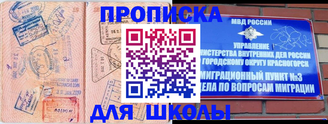 прописка для школы в Шадринске